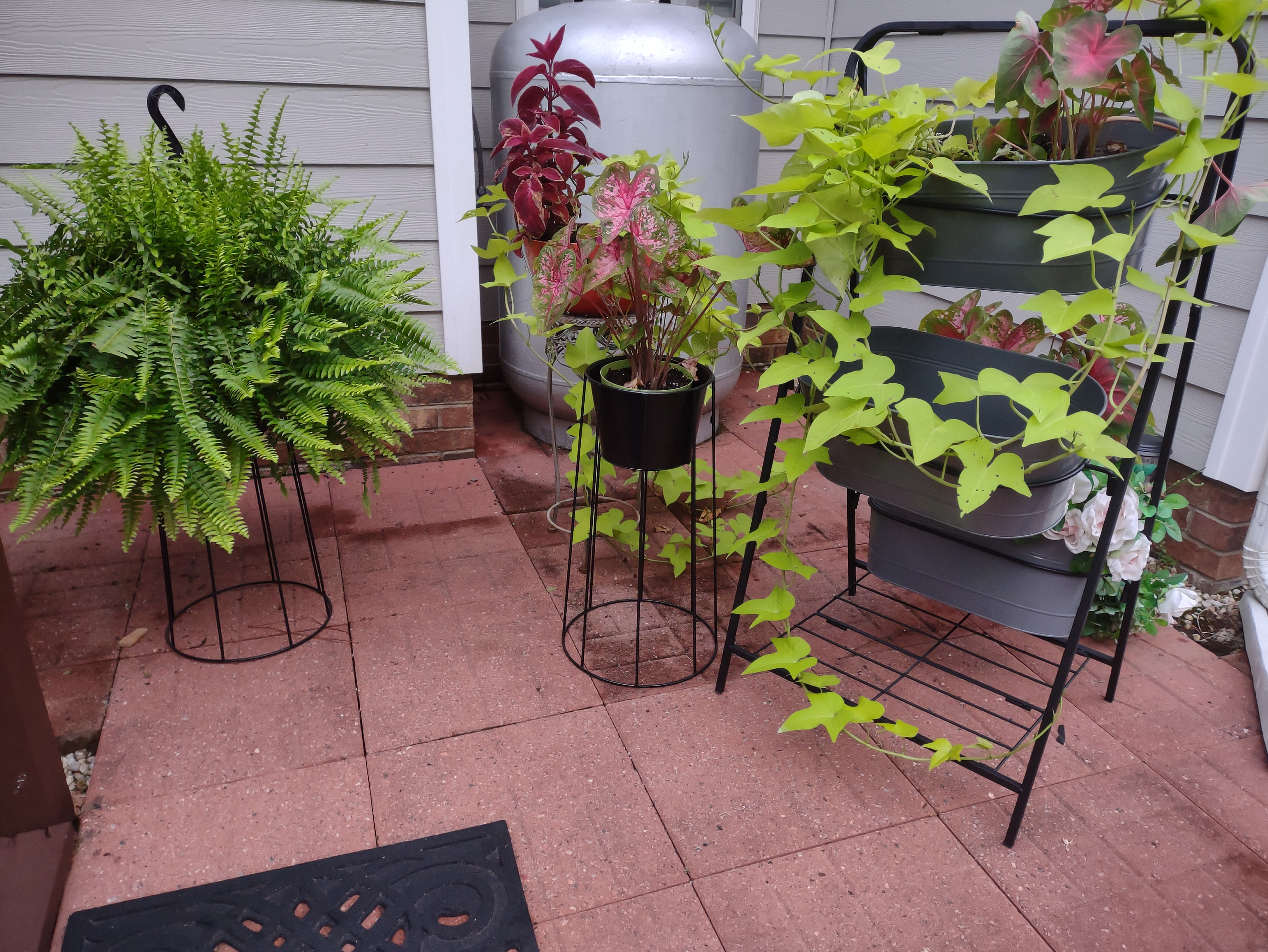 Purpose Living and Care